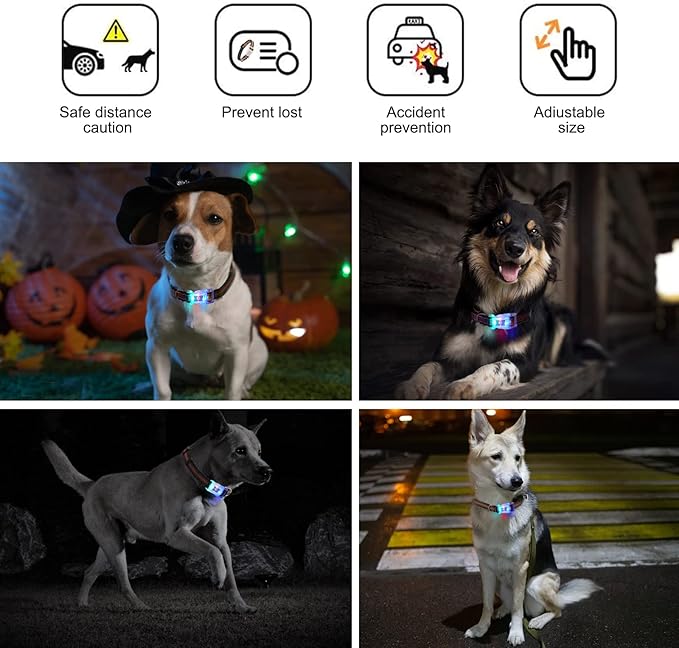 Buckle Glow Dog Collar Light,Adjustable Flashing LED Dog Collar Rechargeable Waterproof,Light Up Dog Collars Lights for Medium,Large Dogs- ML(Neck:14.17-24.8")