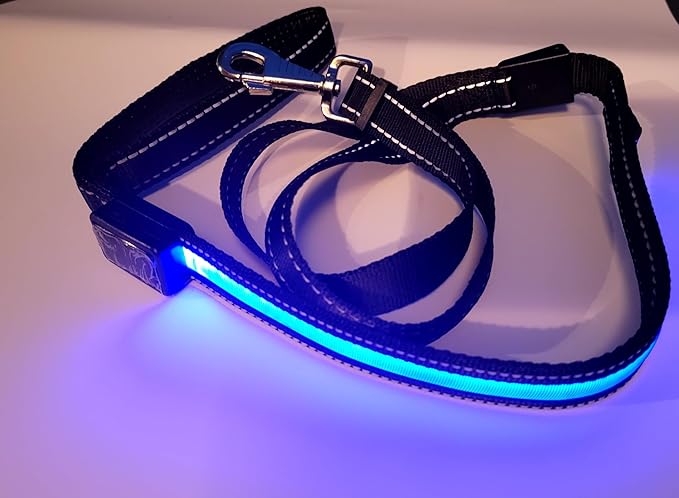 LED Dog Collar and Leash Light USB Rechargeable Color Changing, Glow in The Dark Dog Collars and Leash Waterproof (Pink, Small Collar:L:17", D:8.5", W:1")