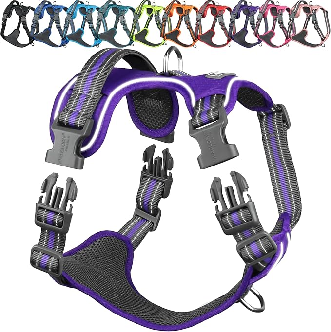VIVAGLORY Dog Harness Easewalk No Pull Dog Harness with Handle Front Clip & Back Clip for Training Walking Lifting, No Pull Adjustable Easy On Padded Comfortable for Pet, S, Purple - Patterned