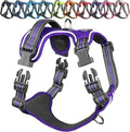 VIVAGLORY Dog Harness Easewalk No Pull Dog Harness with Handle Front Clip & Back Clip for Training Walking Lifting, No Pull Adjustable Easy On Padded Comfortable for Pet, XL, Purple - Patterned