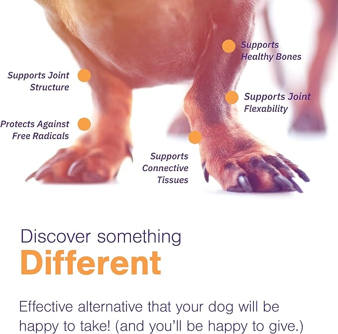 MOVOFLEX Soft Chews Hip and Joint Support Supplement for Large Dogs 60 Count by Virbac
