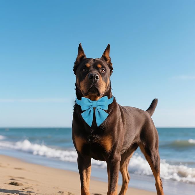 Maca Bates Sky Blue Dog Collar with Cute Solid Sailor Bow Tie for Large Girl Boy Dogs,Adjustbale Durable Breakaway Soft Collars with Bowtie for Female Male Puppy,Pet with Metal Buckle