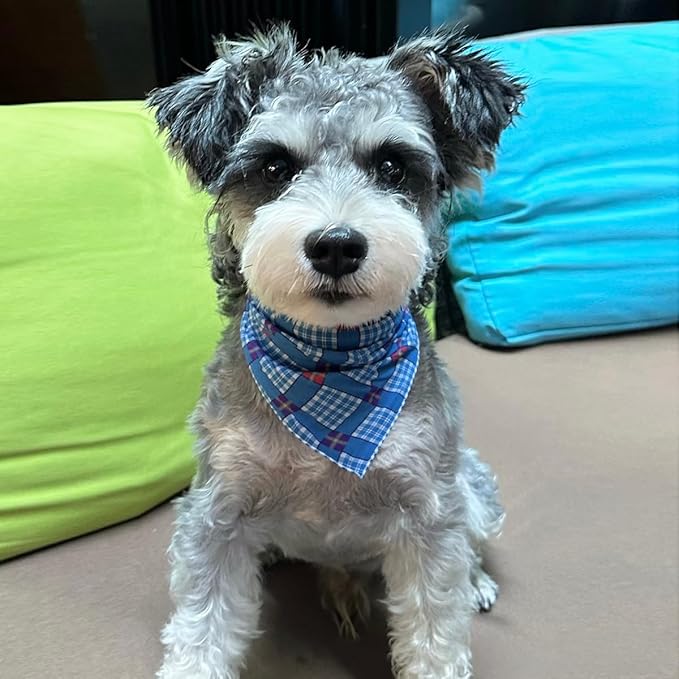 Double Layers Two Tones Dog Cotton Square Bandana Bibs Scarf Kerchief for Small Medium Dogs Boy or Girl - DCB23 B&W