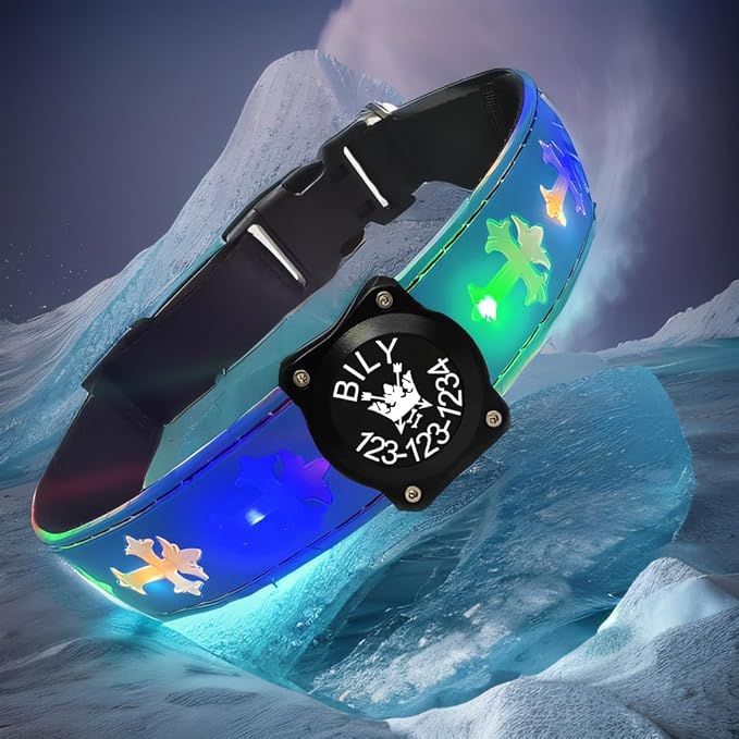 Personalized USB-C led Light up Dog Collar with Airtag Holder, IPX7 Waterproof,15 Modes Changing Multicolored Lighting (Blue Pro, XL(19.7-23.6"))