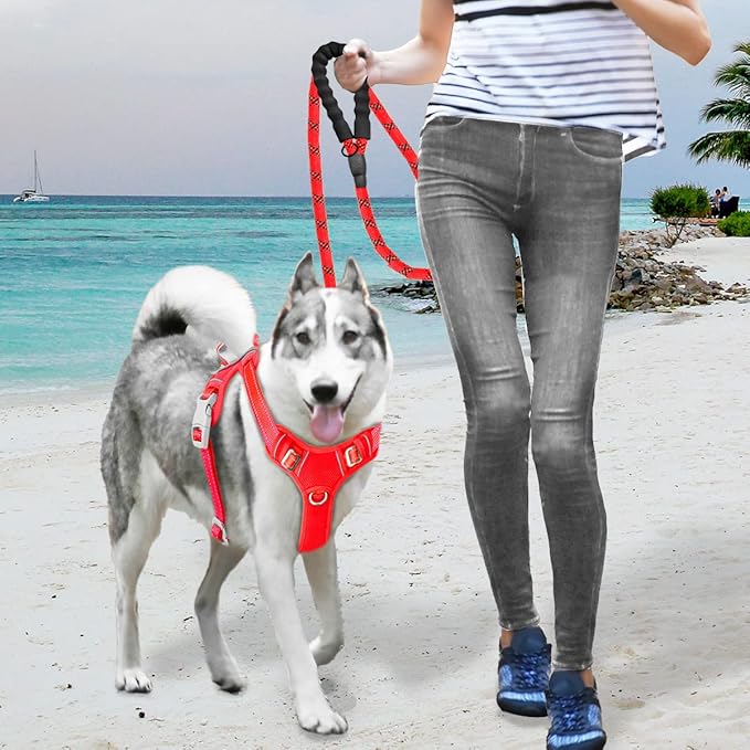 BARKBAY No Pull Dog Harness Large Reflective Dog Harness with Front Clip and Easy Control Handle for Walking Training Running with ID tag Pocket(Red,L)