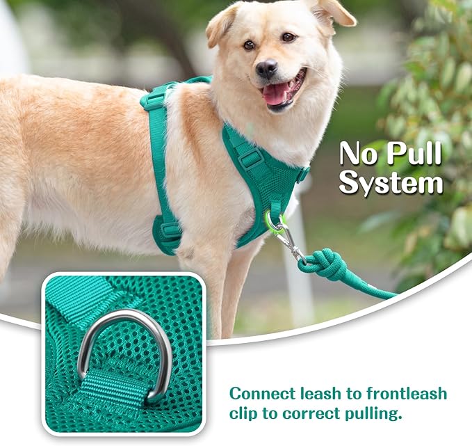 No Pull Dog Harness for Small Medium Large Dogs - Adjustable 2 Layer Mesh Dog Vest with Dual Clip, Escape Proof, Quick Release, Lightweight Breathable Mesh for Walking Hiking (MARRS Green,XL)