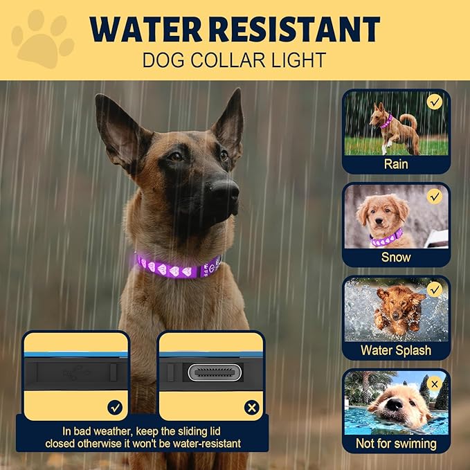 Light Dog Collar, 15 Glowing Modes/3D Design/Adjustable/Rechargeable LED Dog Collars, Light Up Dog Collar for Small Dog, Safety Dog Collars for Night Walking, Purple