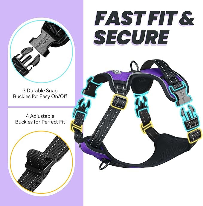 VIVAGLORY Dog Harness Easewalk No Pull Dog Harness with Handle Front Clip & Back Clip for Training Walking Lifting, No Pull Adjustable Easy On Padded Comfortable for Pet, S, Purple - Plain