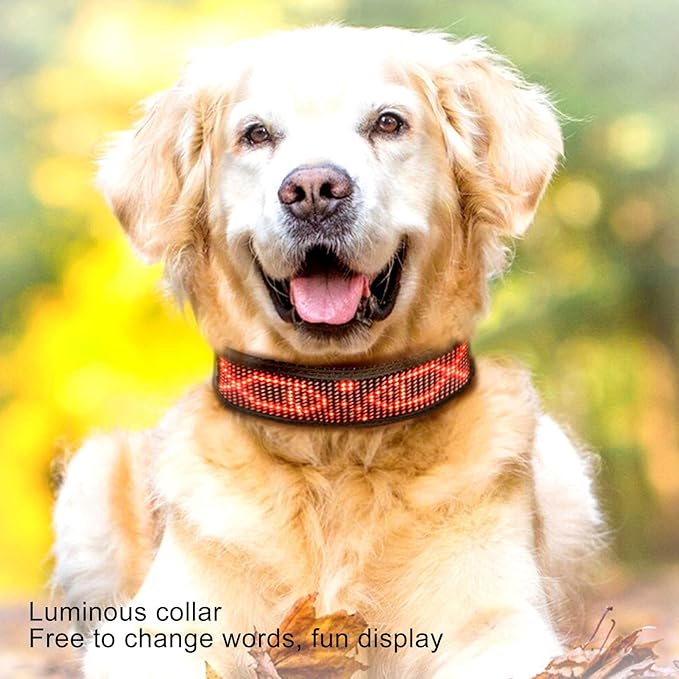 Programmable LED, Rechargeable Pet Dog Safety Flashing Light Up Neck Single Color with Connection (Red)