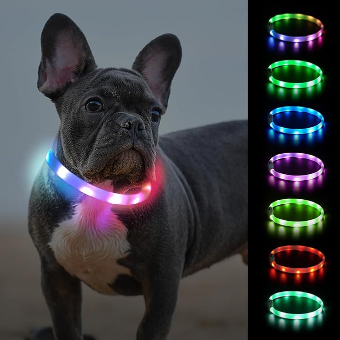 Cool LED Dog Collar Rechargeable Light Up Dog Collar Rainproof 9 Flashing Modes, Glow Collars for Night Walking, Cuttable Soft Silicone Collar (M,Colorful)