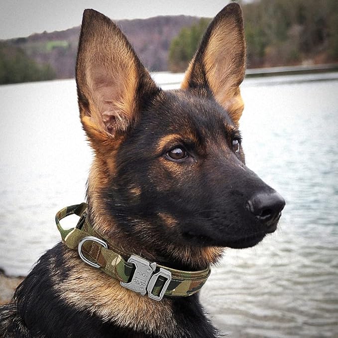 Military Tactical Dog Collar Leash German Shepard Medium Large Dog Collars Lead for Walking Training Dog Collar Control Handle Camouflage L