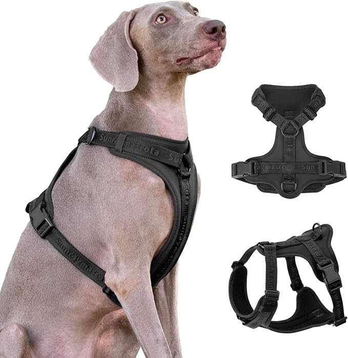 No Pull Dog Harness with Lycra, Three-Point Force Dispersion & 3D Padding, Adjustable Breathable Mesh for Small Medium Large Dogs(Black,M)