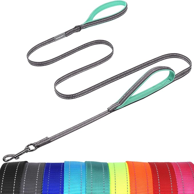 VIVAGLORY Twingrip Dog Leash, Double Handle Dog Leash for Training & Walking with Traffic Handle & 2 Loop, Traffic Control Reflective Heavy Duty for Puppy Pet, 4ft x 1/2in, Grey