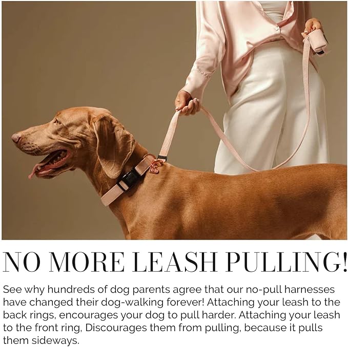 The DOGISTRY - City Collar - Blush - Premium Dog Collar with Padded Neoprene & Signature Fabric - Refined Design & Everyday Luxury - Medium