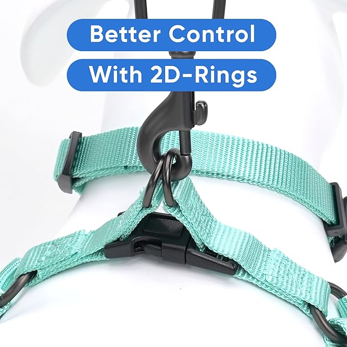 Pawtitas Solid Step-in Dog Harness Adjustable No-Pull Vest for Puppies to Seniors, Safe & Comfortable L Turquoise