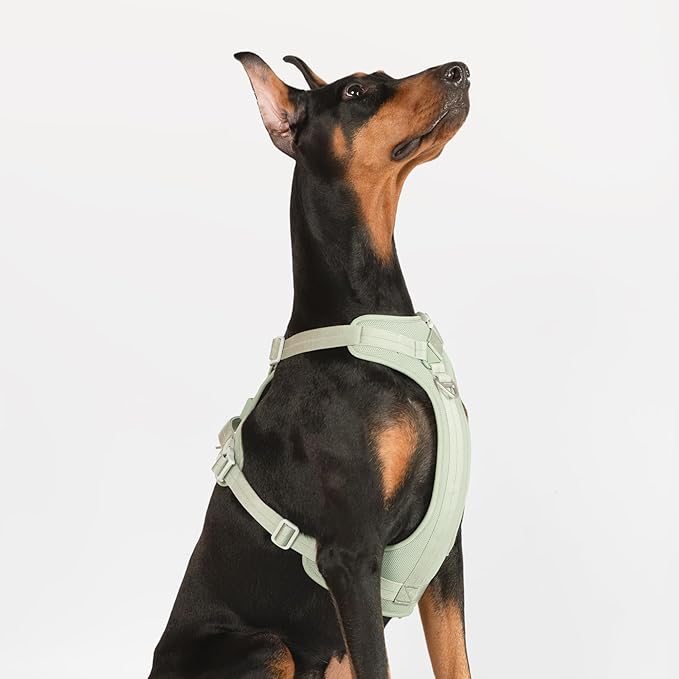All-Weather No Pull Dog Harness Reflective Vest Harness QR Code Anti-Lost Adjustable Quick-Release Buckle Soft Padded Breathable Harness for Small Medium Large Dog (Light-Olive, XS)