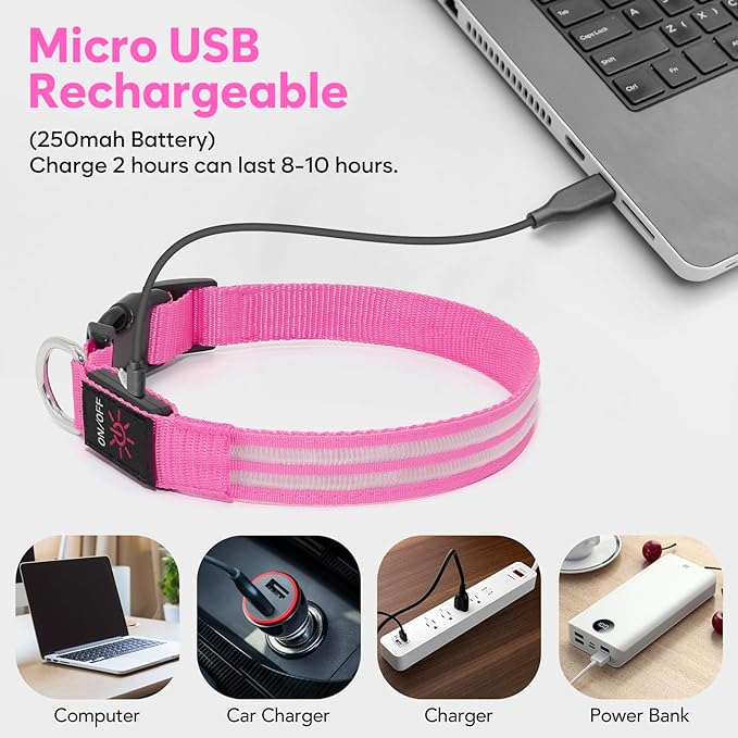 BSEEN Light Up Dog Collar - Rechargeable LED Dog Collar Glow in The Dark Dog Camping Essenstials Reflective Dog Collar Lights for Night Walking (Pink, Medium)