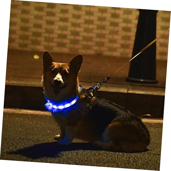USB Rechargeable LED Pet Dog Collar Glow Collar with Durable Wear Resistant Material for to Fit Design for Comfortable Use