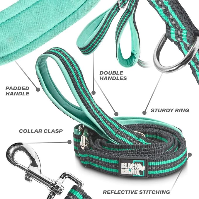 Black Rhino Heavy Duty Dog Leash for Medium and Large Dogs - 5 ft Long Double Handle Dog Leash with Padded Traffic Control Handles - Reflective, Durable, and Weather Resistant (Aqua and Gray)
