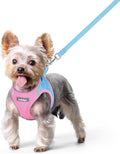 rabbitgoo Dog Harness Small Sized and Leash Set, Step in Soft Light Puppy Vest, Breathable Mesh Pet Harness, Reflective for Safe Easy Walking, Blue & Light Pink XS