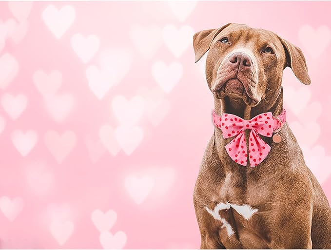 Valentine Dog Collar with Bow Tie, Valentine Bowtie Collar for Large Girl Dog, Cotton Collar with Durable Metal Buckle, Valentine’s Gift Pet Collar, L, Red Heart
