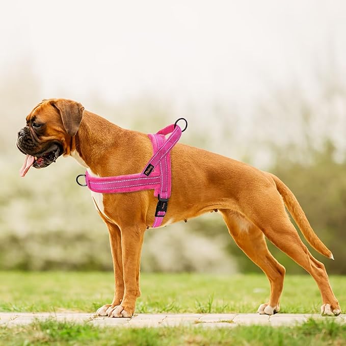 Didog Soft Flannel Padded Dog Vest Harness, No Pull/Quick Fit Reflective Dog Strap Harness, Easy for Training Walking (XS:Chest 15-18", Hot Pink)