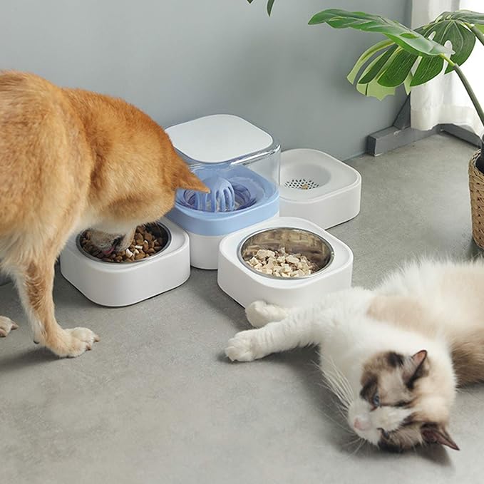 2 in 1 Pet Automatic Water Dispenser and Food Bowl Set, Durable & Detachable Stainless Steel Feeder Bowl,No-Spill Self-Dispensing Gravity Waterer for Small Dogs and Cats1.8L