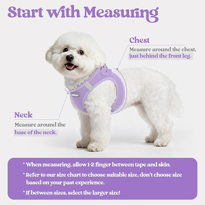 rabbitgoo Dog Harness Small Sized and Leash Set, Step in Soft Light Puppy Vest, Breathable Mesh Pet Harness, Reflective for Safe Easy Walking, Light Purple S