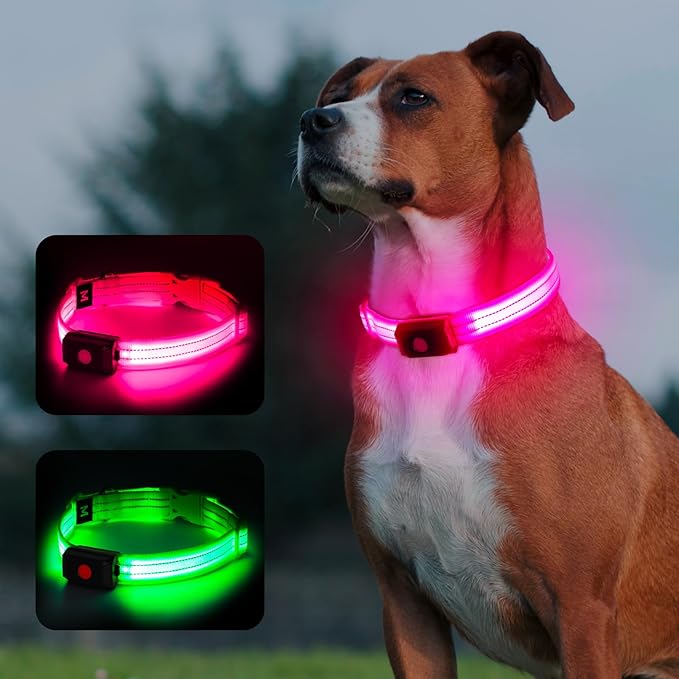 Light Up Dog Collar for Night Walking Flashing, LED Dog Collar Light Rechargeable Reflective Dog Collar Water-Resistant Adjustable Size Dog Collars for Medium Dogs