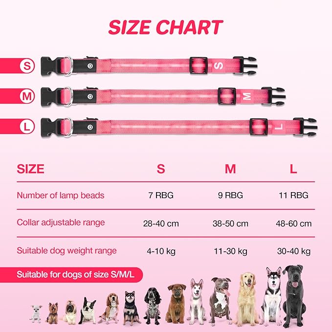 RUXAN Light Up Dog Collar,Dog Lights for Night Walking,LED Collars Waterproof,Glow Dog Collars Rechargeable,Glow in The Dark Dog Collar,Dog Collars Light for Small,Medium,Large Dogs (Small,Pink)