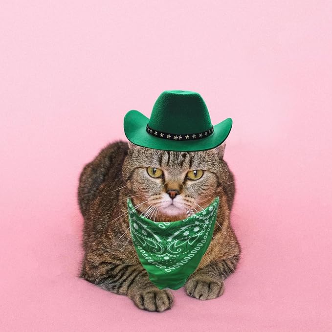 Dog Cowboy Hat and Bandana Scarf Dog Cat Sombrero Puppy Hat Dog Cat Costume Cosplay Cap Puppy Pet Dog Cat Holiday Pet Party Decoration (Green)