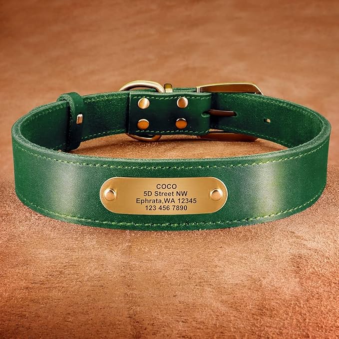 Real Leather Dog Collar Leash Set Personalized Genuine Leather Dog Pet Collars Leashes Custom for Small Medium Large Dog Pitbull Green Collar M