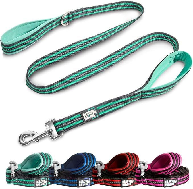 Black Rhino Heavy Duty Dog Leash for Medium and Large Dogs - 5 ft Long Double Handle Dog Leash with Padded Traffic Control Handles - Reflective, Durable, and Weather Resistant (Aqua and Gray)