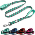 Black Rhino Heavy Duty Dog Leash for Medium and Large Dogs - 5 ft Long Double Handle Dog Leash with Padded Traffic Control Handles - Reflective, Durable, and Weather Resistant (Aqua and Gray)