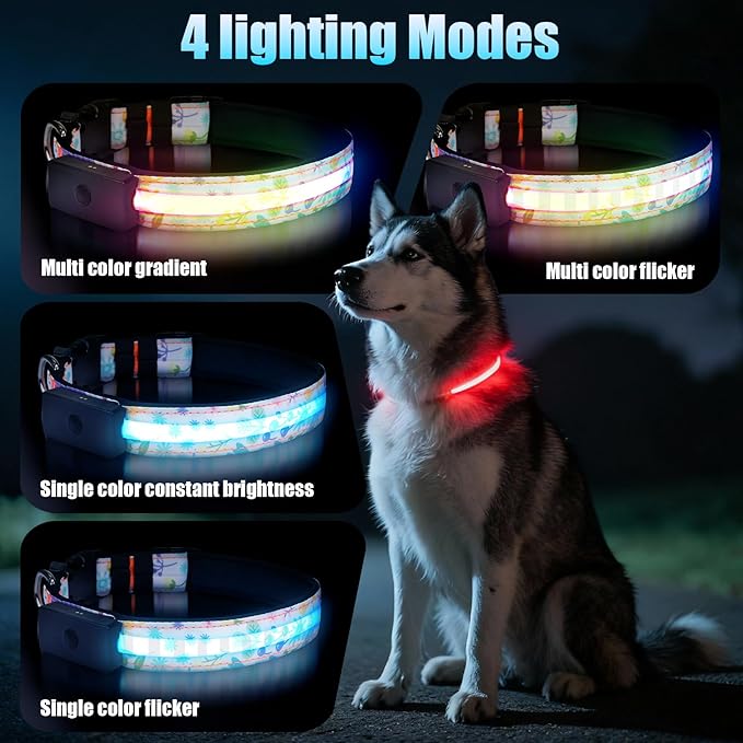 LED Dog Collar - Brightest Light Up Dog Collars - 1,600 Feet of High Visibility - Magnetic Charging - Dog Lights for Night Walking, Flower Extra Large