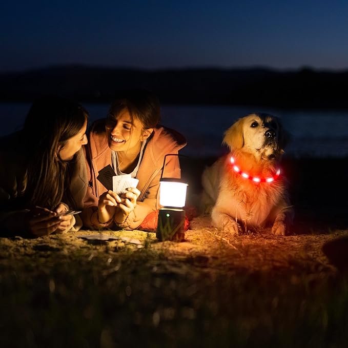 HIGO Light Up Dog Collar, Lightweight Silicone LED Dog Collar, USB Rechargeable Dog Collar Light for Dogs Cats Walking at Night (Red-Silicone)