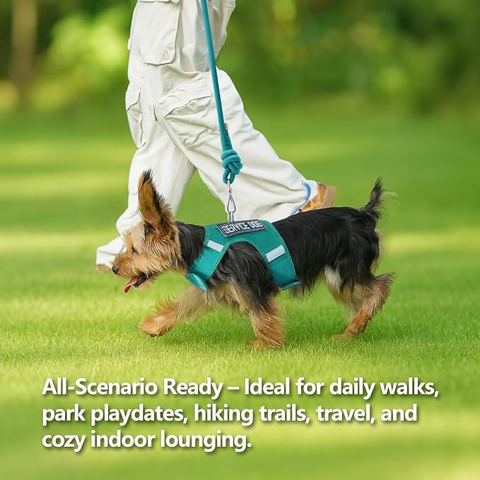 Dog Harness for Puppy – Adjustable Reflective Easy Put On Soft Mesh Vest for Small Dogs with 2 Patches (MARRS Green,XXXS)