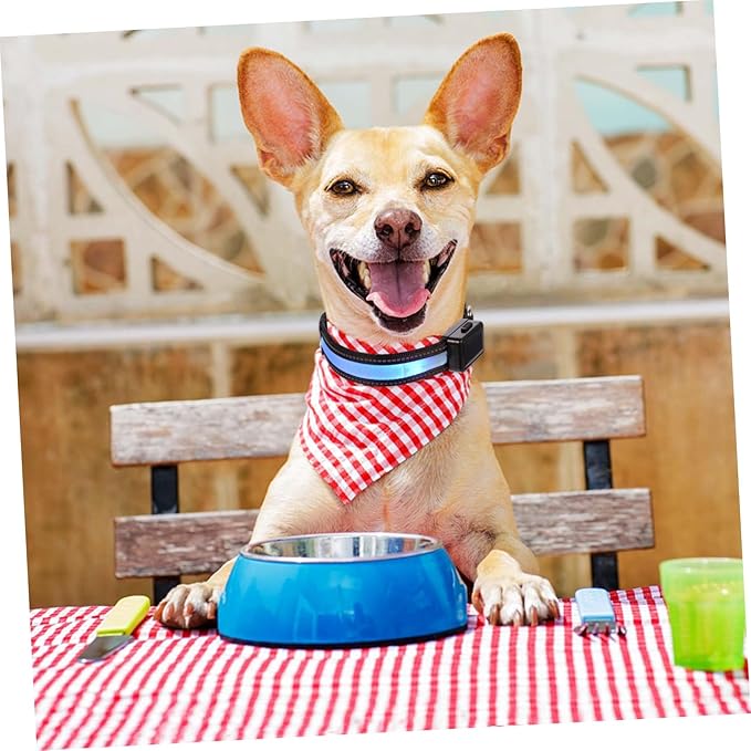Solar Powered Dog Collar Led Collar Light Rechargeable Night for Puppy