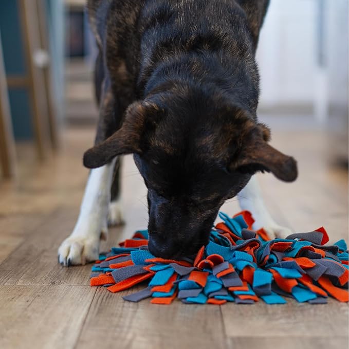 Messy Mutts Round 15” Forage Mat with No-Slip Suction Cups | Snuffle Mat Puzzle for Dogs | Stimulating Sniffing Interactive Puzzle for Dogs