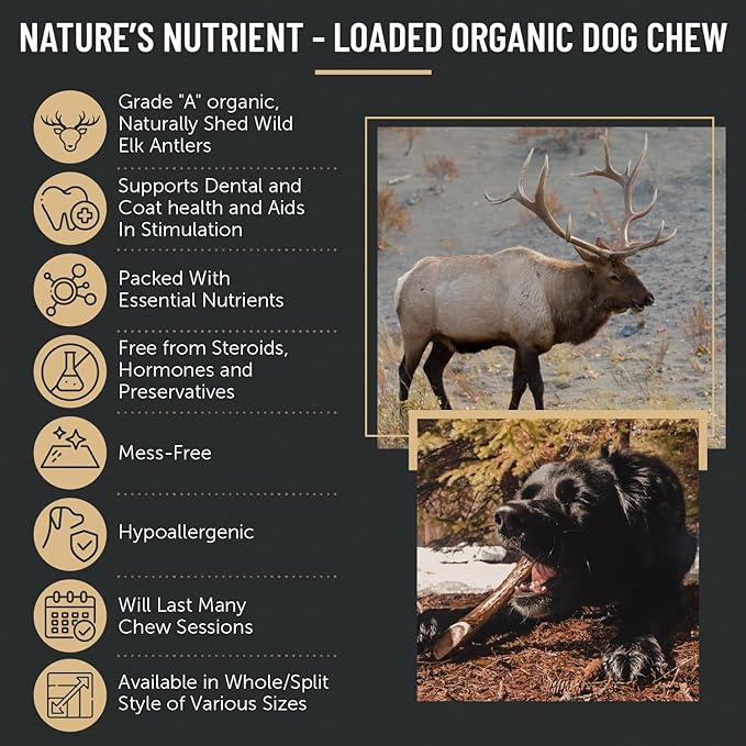 The Antler Box Premium Elk Antler Dog Chews (1 Pound Box) (Large (3 Pieces) Split Only)