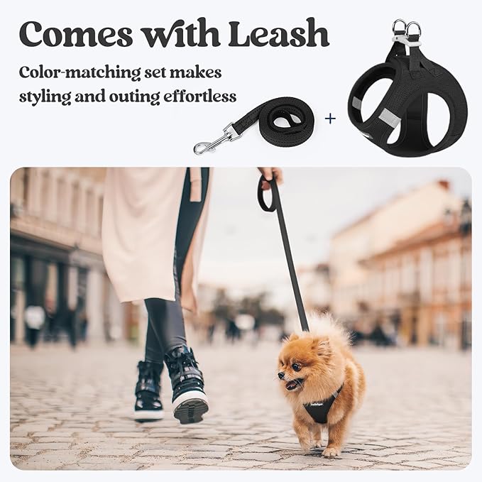 rabbitgoo Dog Harness Small Sized and Leash Set, Step in Soft Light Puppy Vest, Breathable Mesh Pet Harness, Reflective for Outdoor Safe Walking, Black XXXS