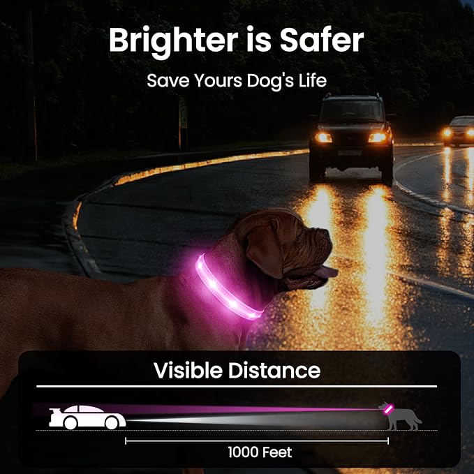 MASBRILL RGB Light Up Dog Collar - Flashing LED, Rechargeable, Water-Resistant, Glow Up Night Walking Collar for Small to Large Dogs