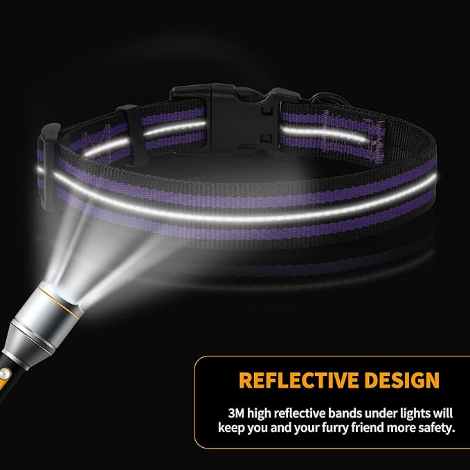 Mile High Life Reflective Dog Collar | Nylon Pet Collars wiith Buckle | Light Weight Puppy Collars | Purple Dog Collars for Small Dogs (Purple, X-S)