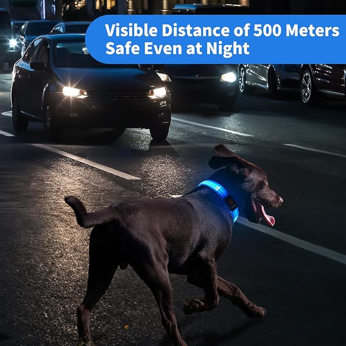 Light Up Dog Collars, LED Dog Collar Light Adjustable USB Rechargeable Super Bright Safety Light Glowing in The Dark Reflective Dog Collar for Medium Large Small Dogs