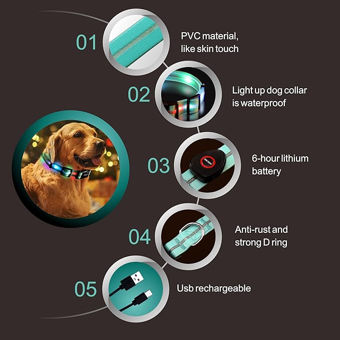 Light up Dog Collars,Led Dog Collar Rechargeable,Glow in Dark Dog Lights for Walking at Night for Small Medium, Large Dogs (Blue)