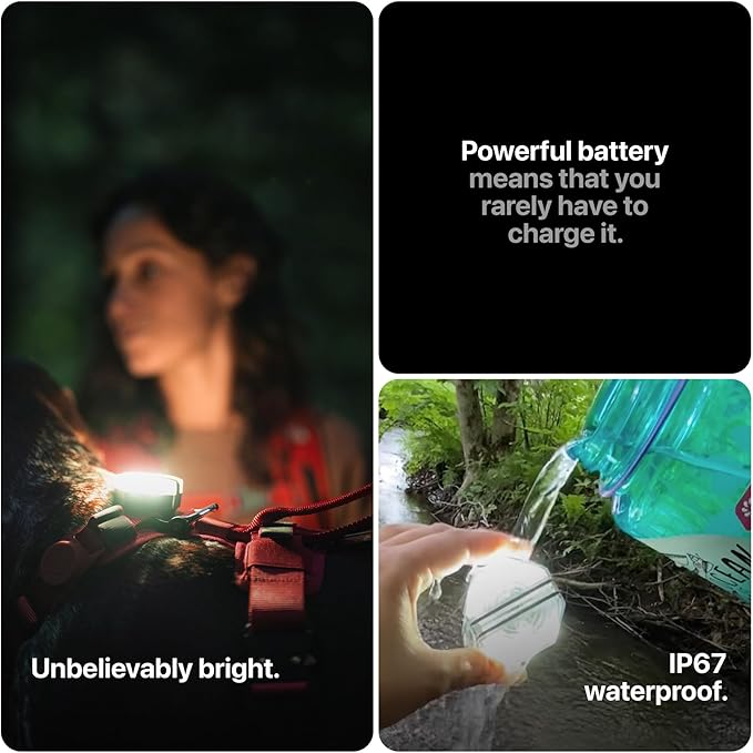 Säker Dog Collar Light - Waterproof Dog Light for Night Walking with Charge Indicator, Rechargeable Magnetic Charger, 7 Lighting Modes with Red & White Blinking. Perfect Safety LED Flashlight
