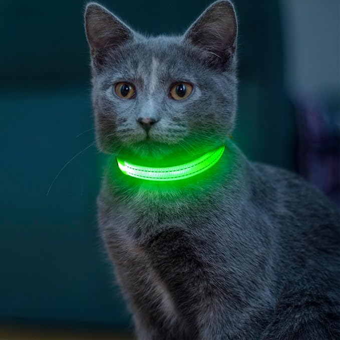 Light up Dog Collar for Small Dog,Vizpet XS Adjustable Size Nylon Collar USB Rechargeable Bright Safety Pet Collar for Cats Dogs (Green)