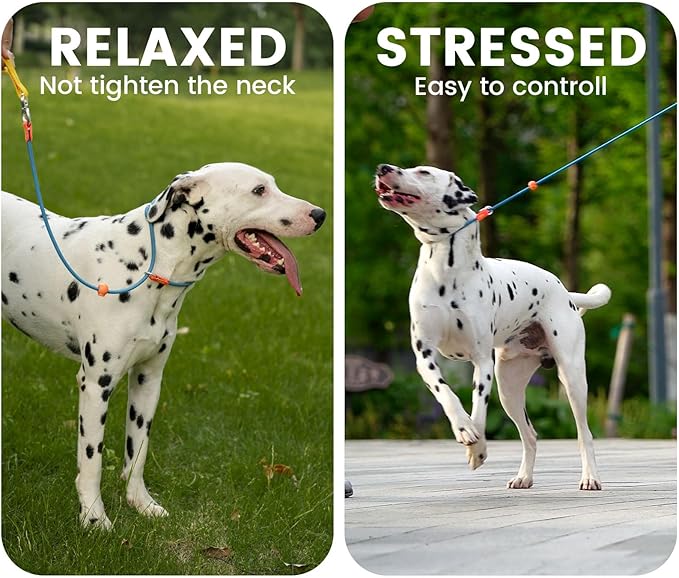 HowGo Slip Lead Dog Leash with Double Handles | Reflective Dog Training Leash with 360° Swivel Anti-Tangle | Heavy-Duty Lead and Collar for Large Medium and Small, No-Pull Walking (Brown, 5.5FT)