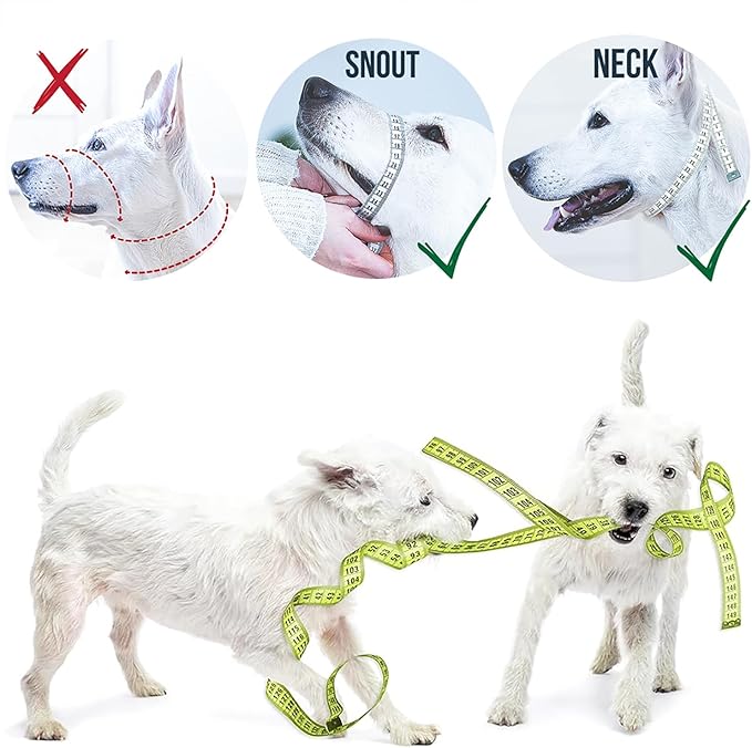 GoodBoy Dog Head Halter with Safety Strap - Stops Heavy Pulling On The Leash - Padded Headcollar for Small Medium and Large Dog Sizes - Head Collar Training Guide Included (Size 2, Blue Nylon)