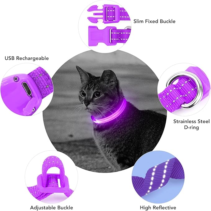 Light up Dog Collar for Small Dog,Vizpet XS Adjustable Size Nylon Collar USB Rechargeable Bright Safety Pet Collar for Cats Dogs (Purple)